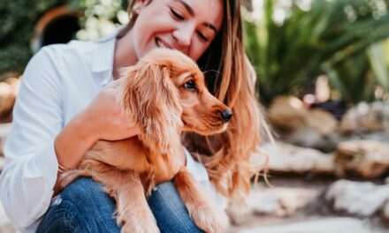 Pet Sanitary Trimming: Essential Tips from Los Angeles Mobile Groomers