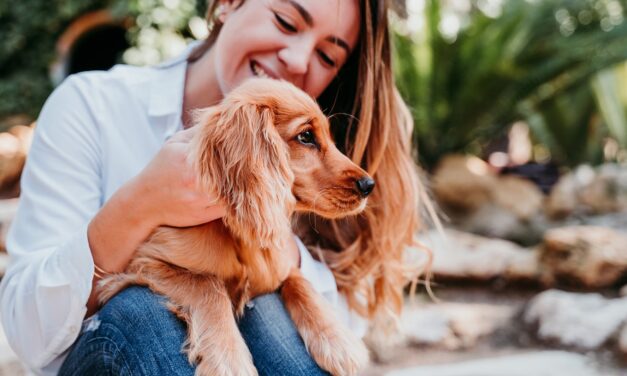 Pet Sanitary Trimming: Essential Tips from Los Angeles Mobile Groomers